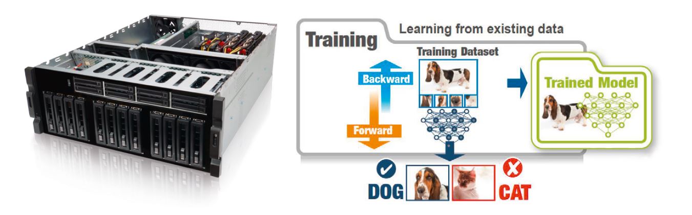 Artificial Intelligence training system